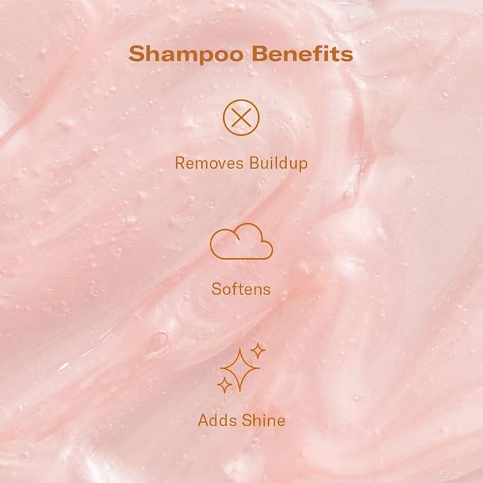 dae Hair Shine Bright Set (Signature Shampoo, Signature Conditioner & Stargloss Treatment)