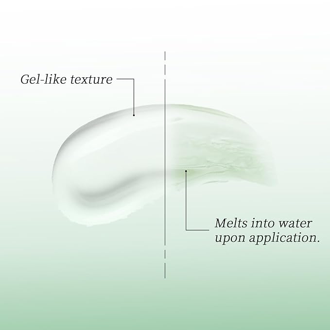 Dry Shampoo Second Generation Oil Control Volumizing Gel, No Need To Wash. Plant Ingredients, 24-Hour Oil Control, Improves Itchy Scalp, 4d Hyaluronic(80ml, Cedar Scent)