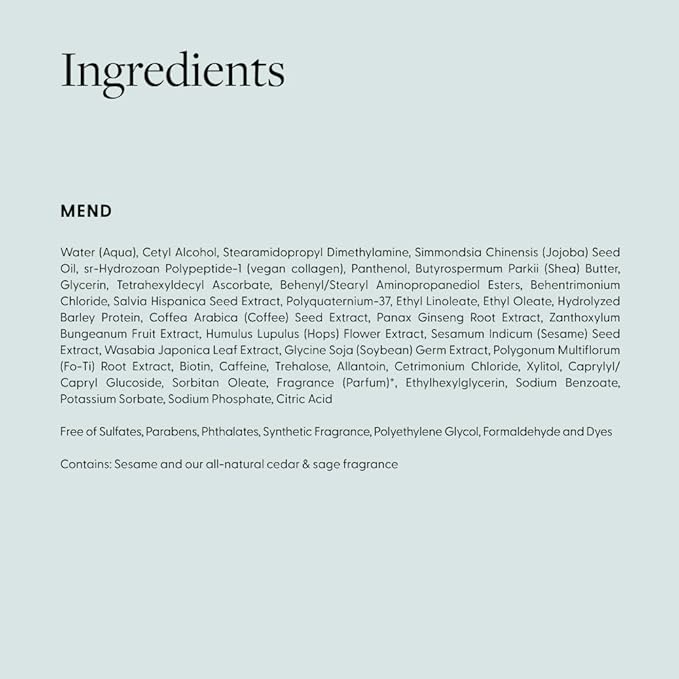 Arey Mend Heat Protectant Leave-In Conditioner | Detangles, Rehydrates, Strengthens and Protects Hair up to 450°F | Vegan, Cruelty-Free & Gluten-Free (2 Fl Oz)