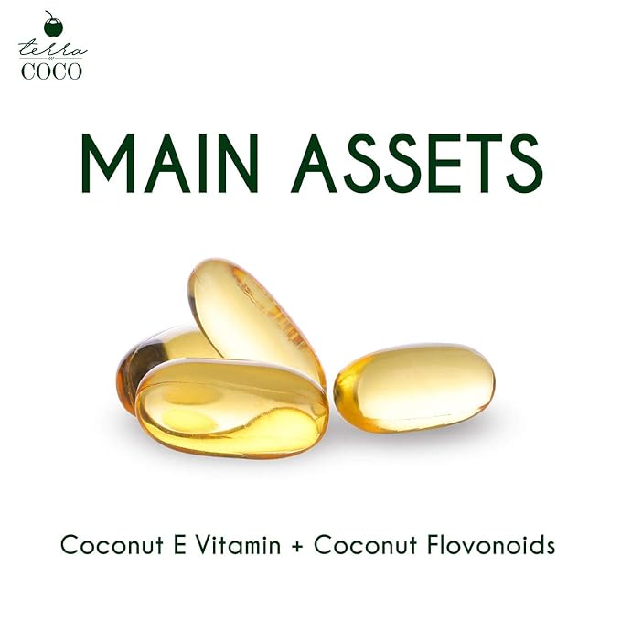 Terra Coco Cocada Capilar | Vegan | Moisturizes and Nourishes Leave-in | Ideal for Extremely Dry and Worn Hair Damaged by Sun or Chemicals| Removes Dead Cells | 16.0 Oz