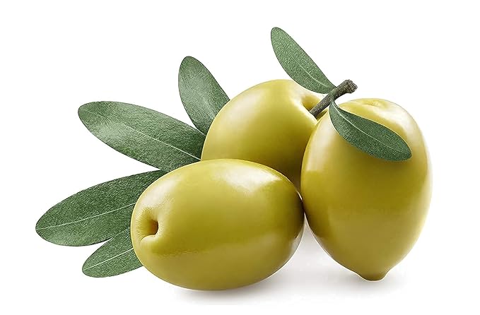 OPO Squalane Oil - Pure, Natural, Plant-Derived, Non GMO, Refined - 16 oz - Squalene Alternative, from Olive - Ultra Hydrating & Moisturizing Carrier Oil - hexane free, cold pressed