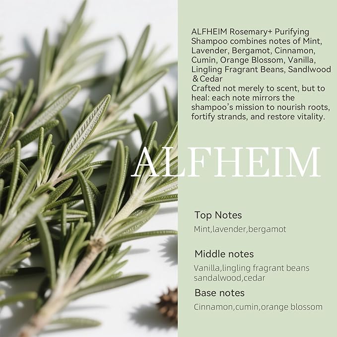 ALFHEIM Rosemary+ Purifying Shampoo | Rosemary, Mint & Jojoba Oil Infused | Gentle Cleansing While Balancing for Oily Scalp & Removing Build-Up | Sulfate-Free & Paraben-Free | 33.8 fl oz