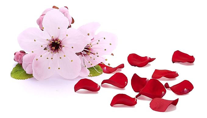 GIOVANNI 2chic Ultra-Luxurious Leave-In Conditioning & Styling Elixir - Smoothing Hair Cream for Curly & Wavy Hair, Enriched with Aloe Vera, Paraben Free, Color Safe - Cherry Blossom & Rose Petal, 4oz
