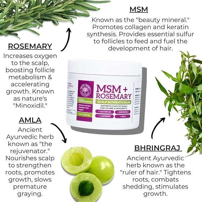 Qhemet Biologics MSM + Rosemary Scalp Nutrients Balm | Scalp Food for Hair Growth | MSM, Rosemary, Bhringraj, Castor Oil & Coconut Oil | For Dry Scalp, Thinning & Slow Growth | Vegan (4 oz)