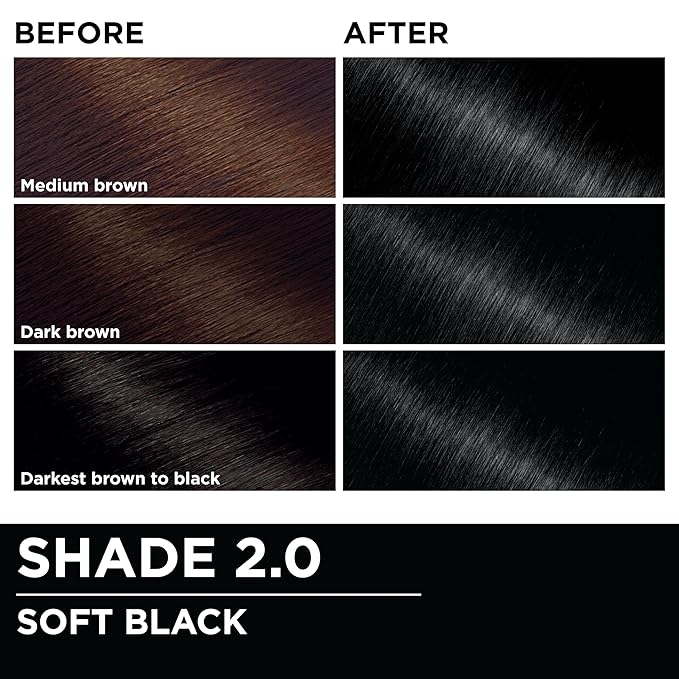 Garnier Hair Color Olia Ammonia-Free Brilliant Color Oil-Rich Permanent Hair Dye, 2.0 Soft Black, 2 Count (Packaging May Vary)
