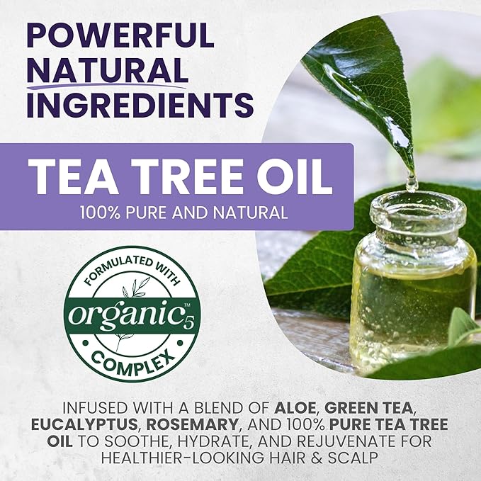Tea Tree Purple Conditioner, Anti-Brass Toner for Blonde, Silver & Gray Hair, Softens, Repairs Damaged Hair & Salon-Grade Hair Toner Conditioner, 16 fl oz