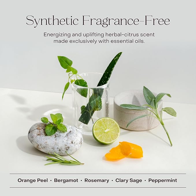 The Haircare Essentials Duo, Shampoo & Deep Conditioner, Repairs Hair, Ideal for Sensitive Scalp, Hydrating and Smoothing, Plant-based, Color-safe, 3.4 fl oz Each, Tins