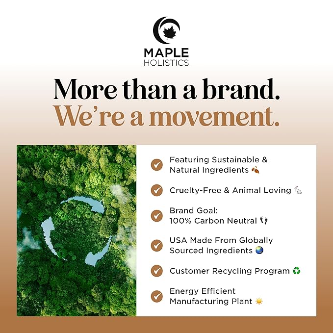 Silk Protein Conditioner for Damaged Hair - Ultra Moisturizing Conditioner for Dry Hair with Deeply Nourishing Shea Butter Argan Oil Green Tea & Aloe - Helps Define Curls & Control Frizz (8 Fl Oz)