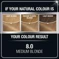 Garnier Olia Ammonia Free Hair Color [8.0] Medium Blonde 1 Each (Pack of 2)