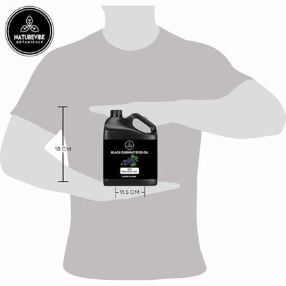 Naturevibe Botanicals Black Currant Oil 32 Ounces | 100% Pure and Natural | Great for Skin Care and Hair Care