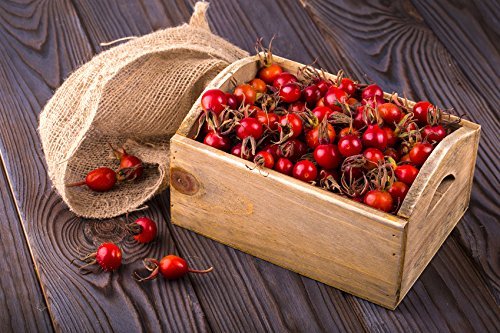 US Organic Rosehip Seed Oil, USDA Certified Organic, Cold Pressed, Virgin Organic, Amber Glass Bottle and Glass Eyedropper for Easy Application - 4 oz (115 ml)