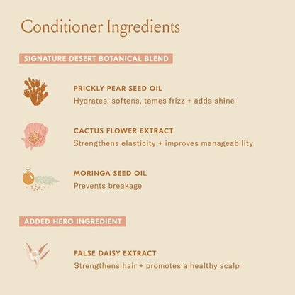 DAE Signature Duo Set (Shampoo & Conditioner)