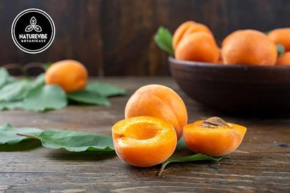 Naturevibe Botanicals Apricot Oil 32oz Fractionated and Jojoba Oil 32oz Coconut Oil 32oz | Oil Combo
