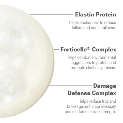 NULASTIN Vibrant Scalp Shampoo - Volumizing Shampoo for Fine Hair & Nourishing Scalp Care - Clinically Tested & Color Safe - Deliver Weightless Shine and Reduce Frizz & Breakage (10 Fl Oz)