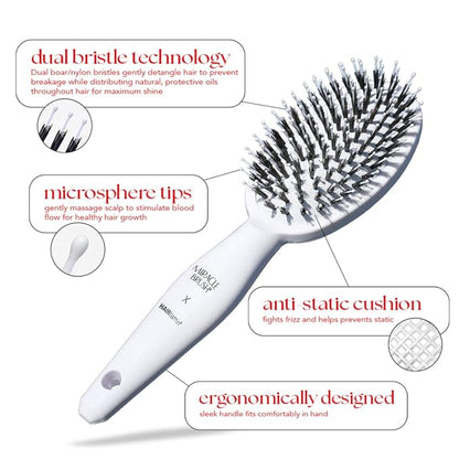 Hairtamin Hair Brush for All Hair Types | Paddle Brush for Blow Drying, Detangling, and Straightening | Anti-Static, Lightweight, and Ergonomic Design | Hair Brush for Men, Women, Kids, and Pets
