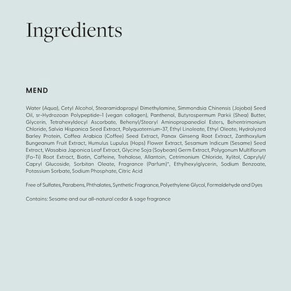 Arey Mend Heat Protectant Leave-In Conditioner | Detangles, Rehydrates, Strengthens and Protects Hair up to 450°F | Vegan, Cruelty-Free & Gluten-Free (2 Fl Oz)