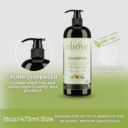 Shampoo | Hair Moisturizing Keratin Protein Treatment Infused with Argan Oil and Olive Oil | Anti Frizz Shampoo for Curly Wavy, and Straight Hair |16oz