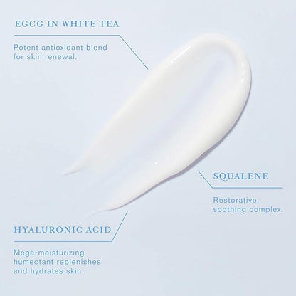 DERMAdoctor Redness & Itchy Skin Relief Calm Cool + Corrected Tranquility Cream for Sensitive Skin | moisturizing face cream Hydration with Squalane & Hyaluronic Acid White Tea Extract – 1.7oz