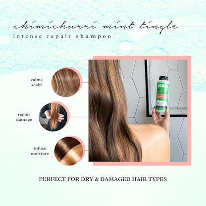 SAUCE BEAUTY Intense Repair Shampoo - Chimichurri Mint Tingle Hair Repair Shampoo - Hydrating Shampoo for Damaged Hair - Paraben and Sulfate-Free Hair Shampoo With Argan & Peppermint Oil (10 Fl Oz)