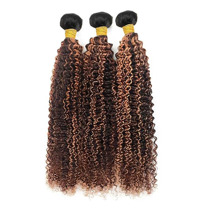 P430 Curly Bundles Highlight Curly Human Hair Bundles Brown and Light Brown two tone Brazilian Human Hair Soft and Silky for Black Women 08 10 12 Inch