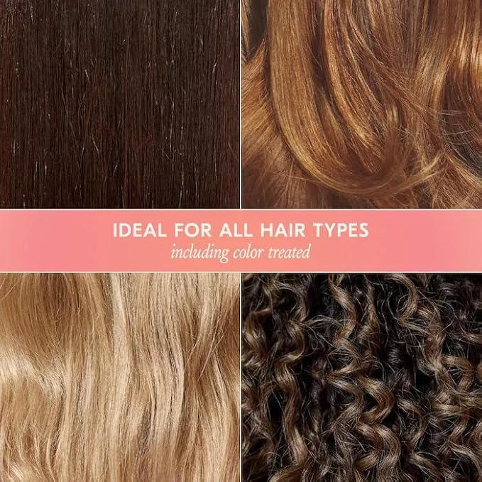 DAE Hair Wanderluster Travel Duo