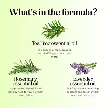 Clarifying Shampoo for Build Up & Oily Hair - Tea Tree Shampoo for Men and Women with Rosemary Essential Oil for Oily Hair and Scalp - Color Safe Vegan Sulfate Silicone & Paraben Free (8 Fl Oz)