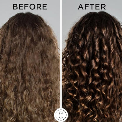 Controlled Chaos Leave-In Conditioner Spray– Anti Frizz Hair Detangler Spray for Dry Damaged Hair with Natural Watermelon & Sunflower Seed Oil & Honey – Non-Greasy, Gluten, Sulfate & Paraben Free
