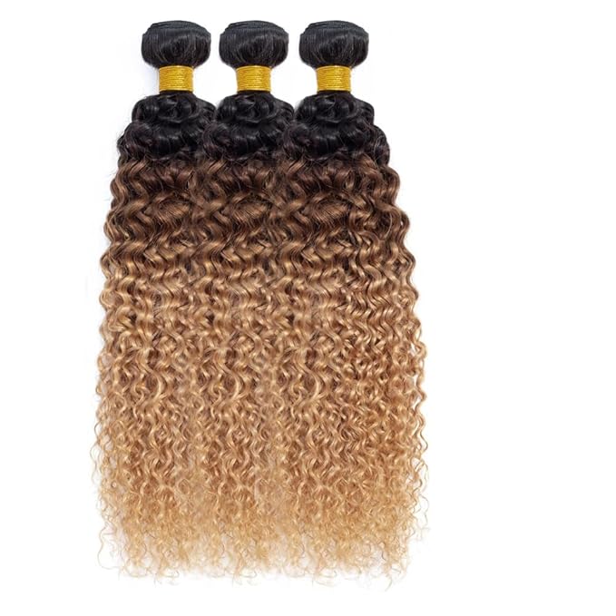 Ombre Human Hair Bundles T1b427 Kinky Curly Bundle Peruvian Virgin Soft And Silky Remy Hair 3 Bundles 24 26 28 Inch Double Weft Hair Weave Honey Blonde Color