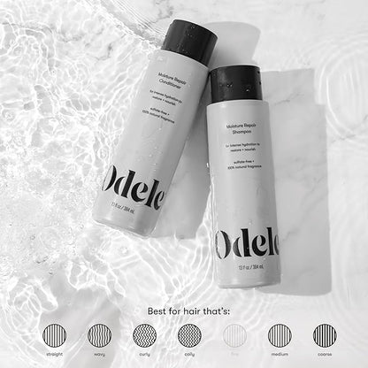 Moisture Repair Sulfate-Free Shampoo & Conditioner Set, for Intense Hydration to help Restore and Nourish Dry or Damaged Hair, 13 Fl Oz Each (2-Pack)