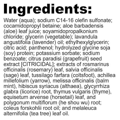 NutriBiotic Everyday Clean Shampoo, Botanical Blend, 10 Fl Oz Twin Pack | GSE & Botanicals for Normal to Oily Hair | Free Of Parabens, Sulfates, Dyes, Colorings, Cocamide DEA, Chlorine Derivatives