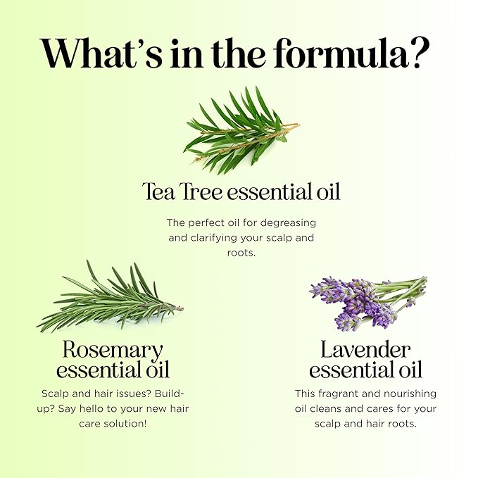 Clarifying Shampoo for Build Up & Oily Hair - Tea Tree Shampoo for Men and Women with Rosemary Essential Oil for Oily Hair and Scalp - Color Safe Vegan Sulfate Silicone & Paraben Free (10 Fl Oz)