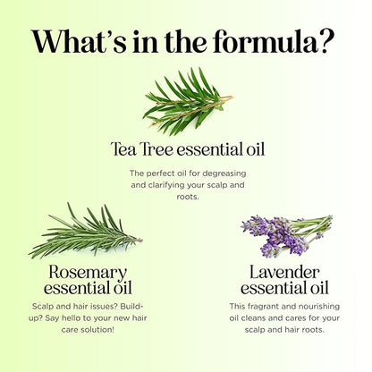 Clarifying Shampoo for Build Up & Oily Hair - Tea Tree Shampoo for Men and Women with Rosemary Essential Oil for Oily Hair and Scalp - Color Safe Vegan Sulfate Silicone & Paraben Free (10 Fl Oz)