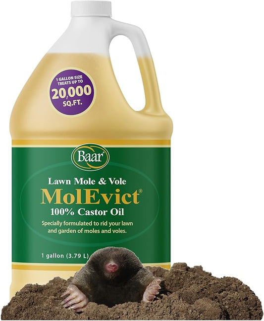 Baar Products - MolEvict Lawn Mole Castor Oil - Lawn & Garden Protection - Up to 20,000 Sq. Ft. of Coverage - 1 Gallon