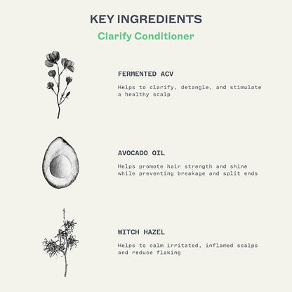 JOOY Clarify Conditioner Weightless Hydration, Soothes Scalp Irritation, Reduces Flakiness & Fights Frizz, Safe for All Hair Types & Color-Treated Hair, Free of Sulfates & Parabens, 33 fl oz