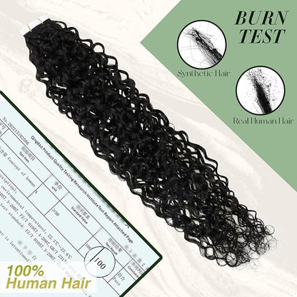 RUNATURE Curly Tape ins Human Hair Extensions Natural Black #1B Tape in Hair Extensions Real Human Hair Full Ends Curly Human Hair Tape in Extensions Silky Glue in Hair Extensions 16 Inch 50g 20pcs