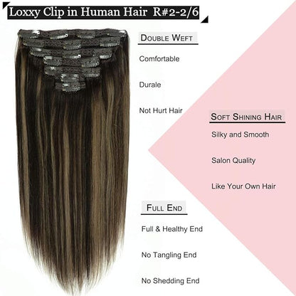 Loxxy Clip in Hair Extensions Ombre Chestnut Brown Mixed Dark Brown with Dark Brown Roots Hair Extensions Clip in Human Hair Double Weft Color R#2-2/6 14 Inch 120g
