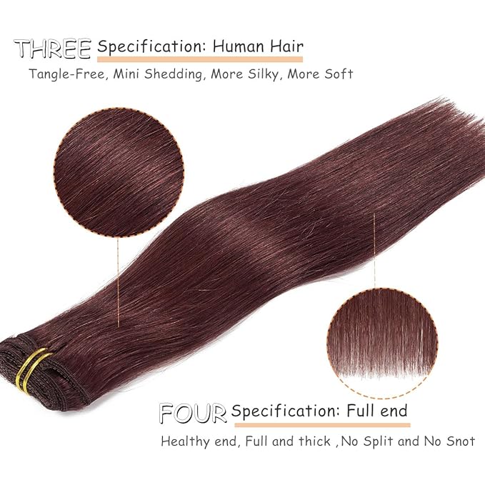Caliee Clip in Hair Extensions Real Human Hair Burgundy Wine Red Color Double Weft Lace Invisible Silky Straight Hair Extensions Clip ins for Full Head 120 G 14 Inch