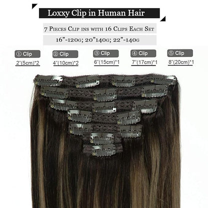Loxxy Clip in Hair Extensions Ombre Chestnut Brown Mixed Dark Brown with Dark Brown Roots Hair Extensions Clip in Human Hair Double Weft Color R#2-2/6 14 Inch 120g