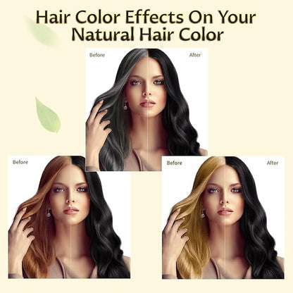 Black Hair Dye Shampoo 3 in 1 for Gray Hair Coverage, Color Shampoo for Women and Men, Instant Herbal Ingredients Hair dye (16.9 Fl oz)