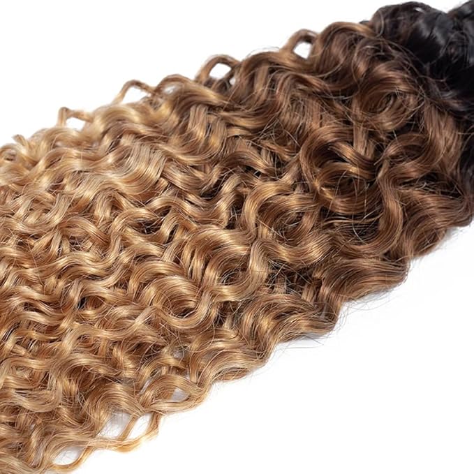 Ombre Brown Bundles Human Hair 4/27 Kinky Curly Bundles 14 16 18 Inch Niegmeag Hair Brazilian Unprocessed Virgin Remy Hair Extensions Double Weft Hair Weave 300g