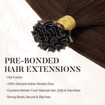 MAXITA U Tip Hair Extensions Human Hair, Chocolate Brown Hair Extensions Real Human Hair, 50g/50 Strands/Pack, 16 In Virgin Human Hair