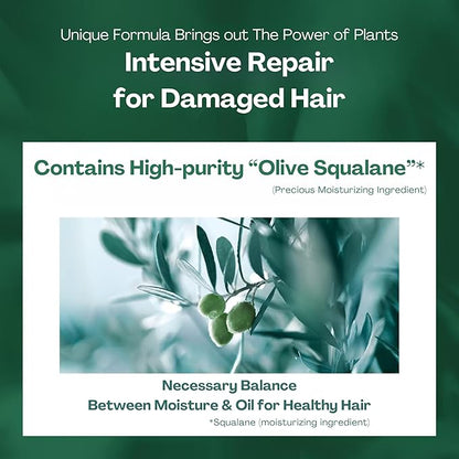 Natural Hair Oil for Frizzy Hair, Organic Hair Oil for Women, HAIR OIL Spray for Men with Jojoba Oil, Protein, Organics Extract & Squalane, Hair Scalp Oil from Japan 2.7 Fl Oz Pear & Jasmine