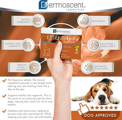 Dermoscent Essential 6 spot-on - Dog Skin Care for Dandruff & Allergy Relief with Vitamin E Oil - Anti Itch for Dogs - Natural Ingredients for Sensitive Skin - Dogs 10-20 kg - 4 Pipettes of 1.2 ml