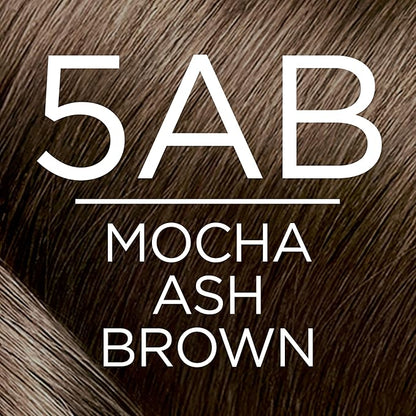 L'Oreal Paris Excellence Creme Permanent Hair Color, 5AB Mocha Ash Brown, 100 percent Gray Coverage Hair Dye, Pack of 3