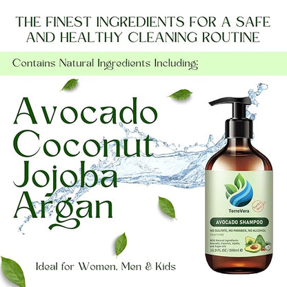 TerreVera Avocado Shampoo - Salon Quality Hydrating Formula - Sulfate & Paraben Free - Ideal for Strengthening, Dry or Color-Treated Hair – Natural Avocado, Argan, Coconut & Jojoba Oils – 16.9 fl oz