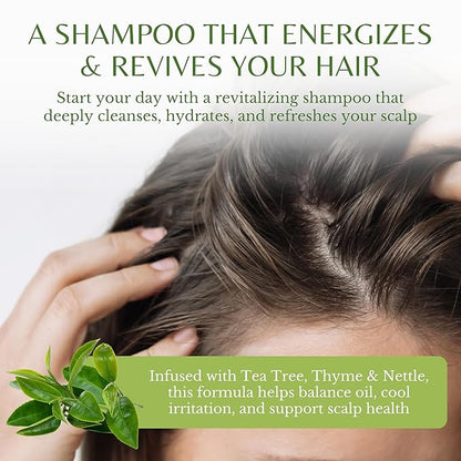 Tea Tree Oil Shampoo, Soothes Itchy & Dry Scalp, Deep Cleansing for Dandruff & Buildup, Hydrates & Refreshes, Sulfate Free, Natural Shampoo for Women & Men – 16 fl oz