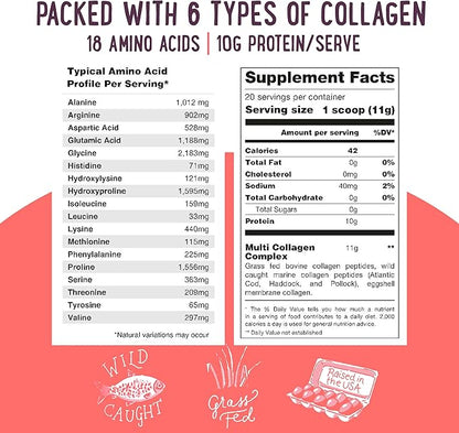 Multi Collagen Protein Powder Type 1, 2, 3, 4, 5, 10 - Unflavored & Hydrolyzed - Pure Collagen Peptides Powder - Grass Fed Beef, Wild Fish Marine & USA Eggshell - 20 Servings