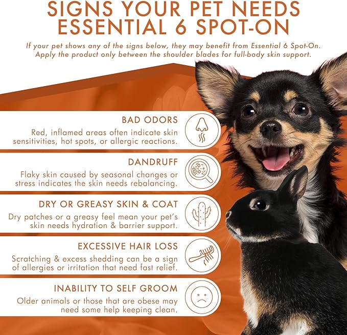 Dermoscent Essential 6 spot-on - Dog Skin Care for Dandruff & Allergy Relief with Vitamin E Oil - Anti Itch for Dogs - Dog & Small Mammals 0-10 kg - 4 Pipettes of 0.6 ml
