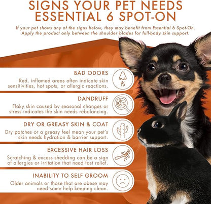 Dermoscent Essential 6 spot-on - Dog Skin Care for Dandruff & Allergy Relief with Vitamin E Oil - Anti Itch for Dogs - Dog & Small Mammals 0-10 kg - 4 Pipettes of 0.6 ml