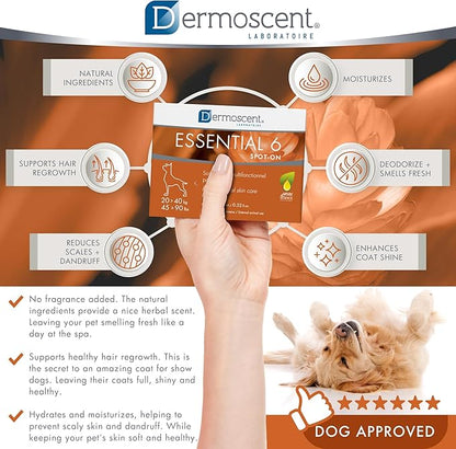 Dermoscent Essential 6 spot-on - Dog Skin Care for Dandruff & Allergy Relief with Vitamin E Oil - Anti Itch for Dogs - Natural Ingredients for Sensitive Skin - Dogs 20-40 kg - 4 Pipettes of 2.4 ml